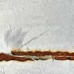rostbild-klingovsky-silvia